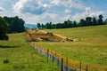 Mountain Valley Pipeline on Its Way to Crossing the Blue Ridge Parkway, Virginia, USA Royalty Free Stock Photo